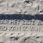 gedicht Vliehorsexpress