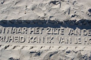 gedicht Vliehorsexpress gedicht Vliehorsexpress